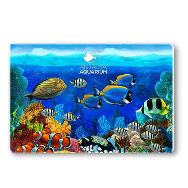 Myros - Aquapark Temalı Myros Taş Magnet 60x45 mm