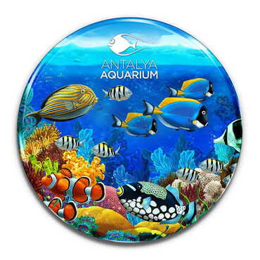 Myros - Toptan Aquapark Temalı Myros Yuvarlak Magnet 67 mm