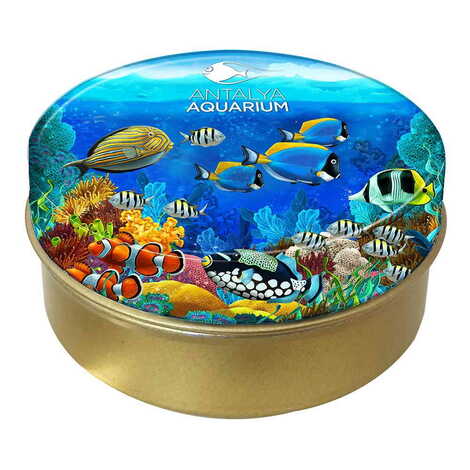 Toptan Aquapark Temalı Myros Yuvarlak Metal Kutu 73x35 mm