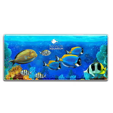 Toptan Aquapark Temalı Panaromik Myros Magnet 85x35 mm - Myros