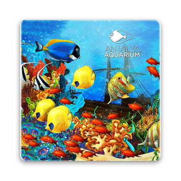 Myros - Aquapark Temalı Taş Bardak Altlığı 100x100 mm