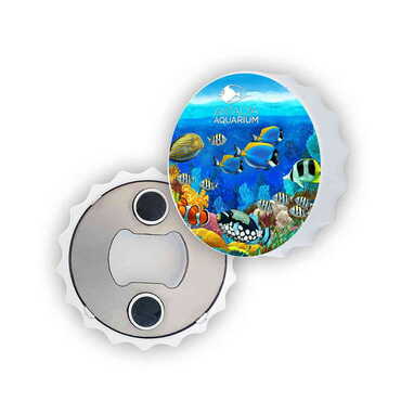 Myros - Aquapark Temalı Uv Baskılı Küçük Kapak Açacak Magnet 58x15 mm