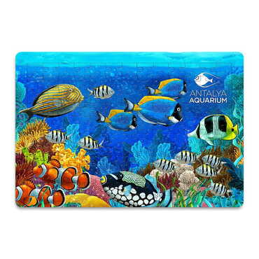 Myros - Aquapark Temalı Uv Baskılı Puzzle 270x400 mm