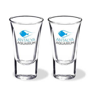 Myros - Aquapark Themed Custom Printed Shot Glass 45x70 mm