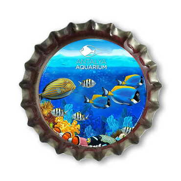 Aquapark Themed Customised Epoxy Metal Bottle Cap Magnet 30x10 mm - Myros