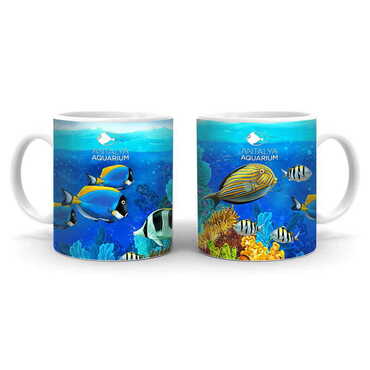 Myros - Aquapark Themed Customised Porcelain Souvenir Travel Mug 80x95 mm