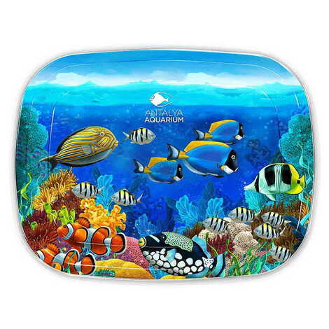Aquapark Themed Customised Printed Tin Serving Tray 305x235 mm - 1