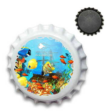 Myros - Aquapark Themed Customised UV Printed Metal Crown Cap Shaped Fridge Magnet 30 mm