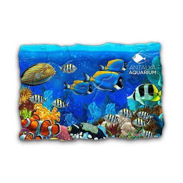 Myros - Aquapark Themed Customised UV Printed Plastic Base Mosaic Pattern Rectangle Fridge Magnet 80x50 mm