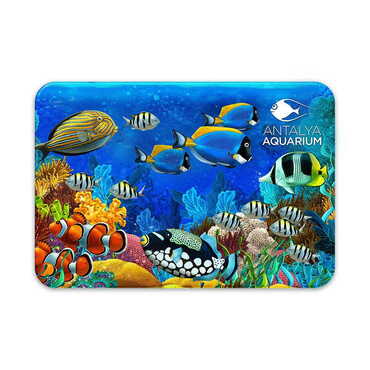 Aquapark Themed Customised UV Printed Plastic Base Rectangle Fridge Magnet 80x50 mm - Thumbnail