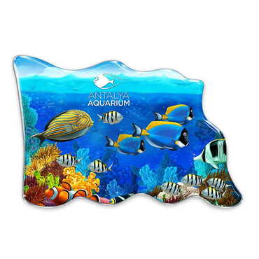 Myros - Aquapark Themed Epoxy Dome Flag Shaped Souvenir Fridge Magnet 70x50 mm