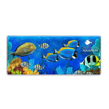 Myros - Aquapark Themed Epoxy Dome Panaromic Souvenir Fridge Magnet 120x50 cm