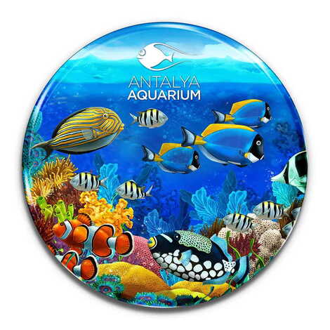 Aquapark Themed Epoxy Dome Round Souvenir Fridge Magnet 67 mm