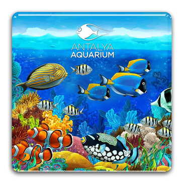 Myros - Aquapark Themed Epoxy Dome Square Souvenir Fridge Magnet 80x80 mm