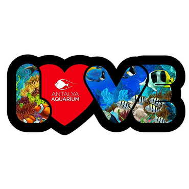 Aquapark Themed Love Letter Shaped Metal Magnetic Opener 114x47 mm - Thumbnail