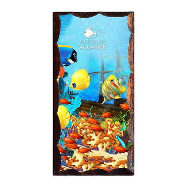 Aquapark Themed Panaromic Printed Wooden Desktop Decor 53x117 mm - Myros
