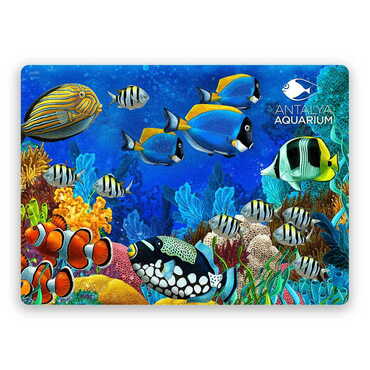 Aquapark Themed Wooden Uv Printed Souvenir Fridge Magnet 93x68 mm - Myros
