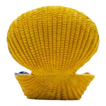 Belek Oyster Shell 45 mm - Standart - 2