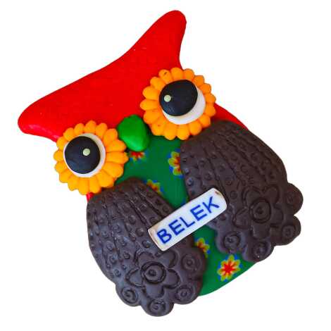 Belek Temalı Baykuş Fimo Magnet - 7