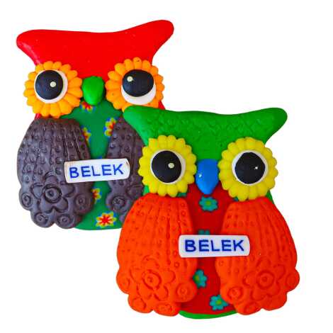 Belek Temalı Baykuş Fimo Magnet - 2