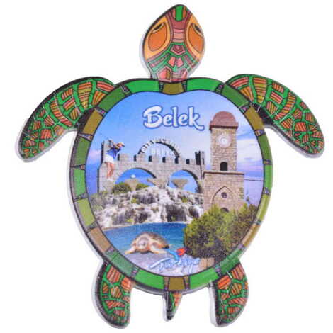 Toptan Belek Temalı Uv Baskılı Kaplumbağa Şekilli Magnet 80x74 mm - 6