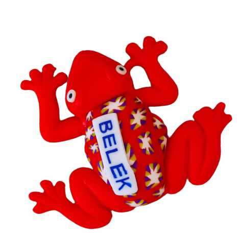 Belek Themed Frog Fimo Refrigerator Magnet - 7
