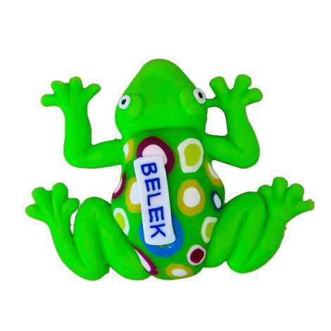 Belek Themed Frog Fimo Refrigerator Magnet - 3