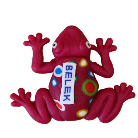 Belek Themed Frog Fimo Refrigerator Magnet - 5