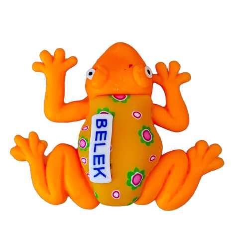 Belek Themed Frog Fimo Refrigerator Magnet - 6