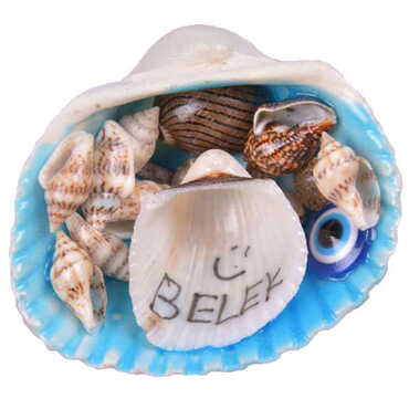 Belek Themed Sea Shell Souvenir Fridge Magnet - Thumbnail