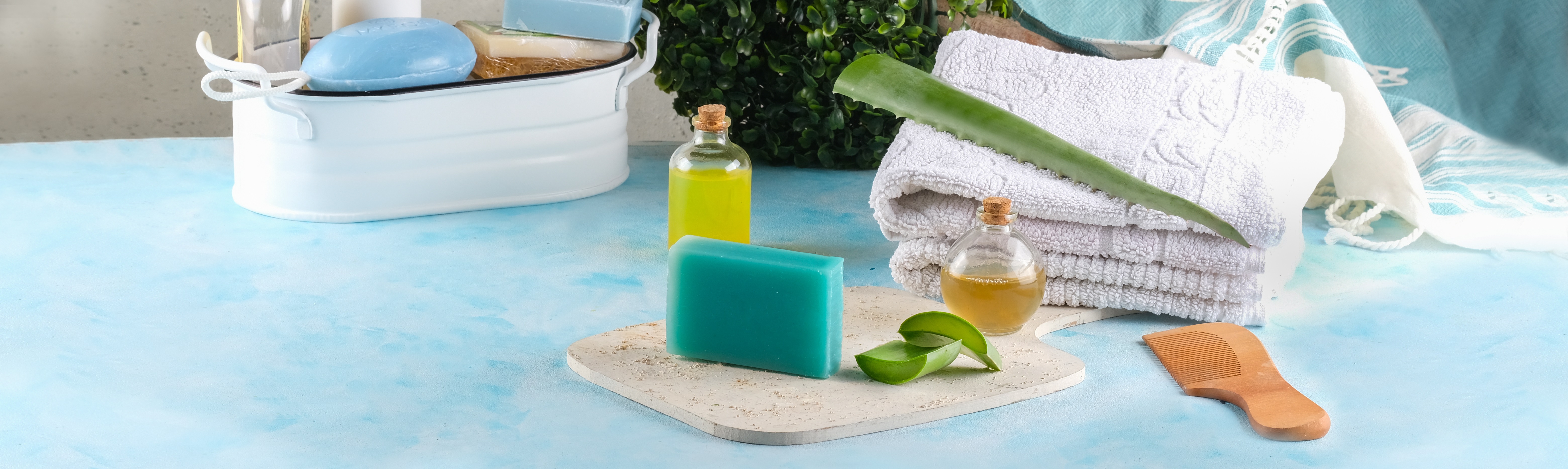 Aloe Vera Sabunu Nedir? 