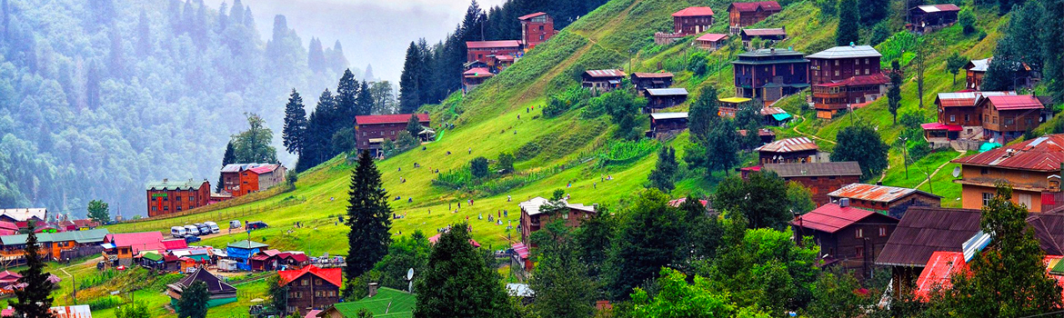 Rize'den Alınabilecek Hediyelik Eşyalar Nelerdir?