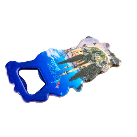 Bursa Temalı UV Harita Açacak - 6