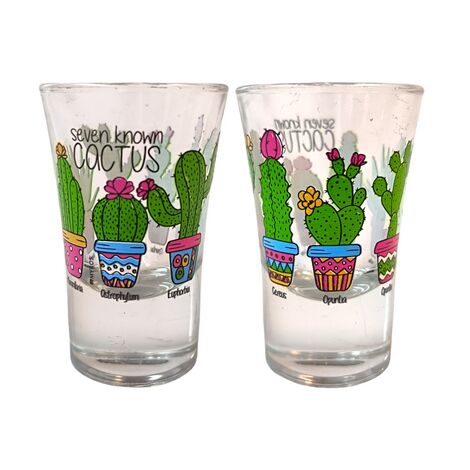 Cactus Themed Shot Glass Set of 2 Pcs