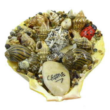 Myros - Cesme Themed Sea Shell Souvenir Fridge Magnet