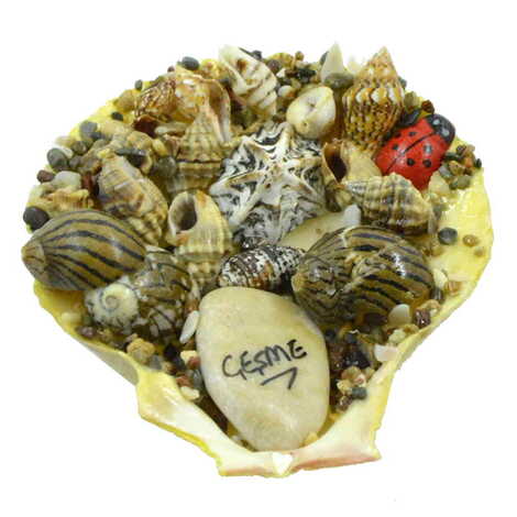 Cesme Themed Sea Shell Souvenir Fridge Magnet