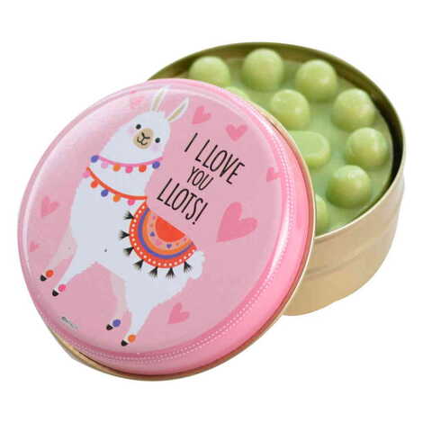 Cute Animals Themed Custom Print Metal Tin Soap Box