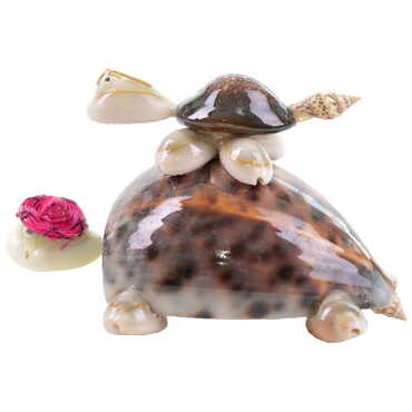 Sea Shell Triple Baby Turtles with Hats Figurine