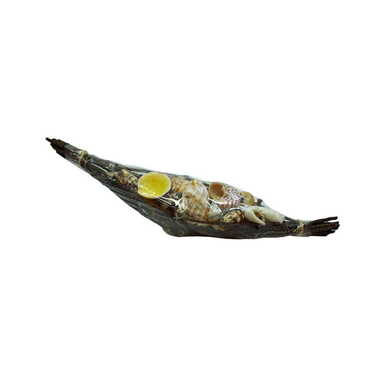 Toptan Foxhell/asstd Shells - Myros
