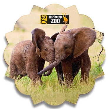 Zoo Themed Wooden Customised Sun Travel Coaster 100 mm