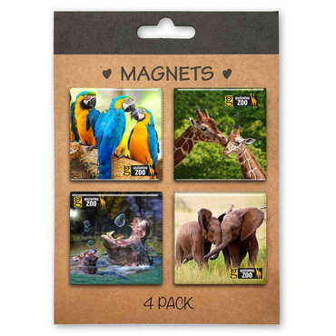 Toptan Hayvanat Bahçesi Temalı Myros 4 Lü Kartonet Magnet Seti̇ 40*40 Mm - Myros