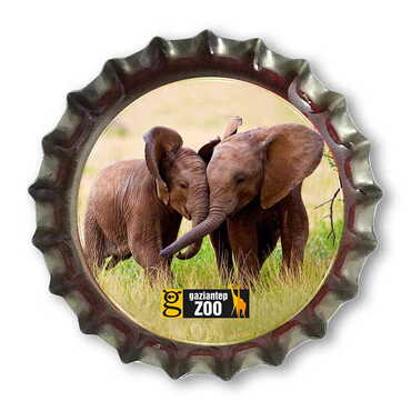 Zoo Themed Customised Epoxy Metal Bottle Cap Magnet 30x10 mm