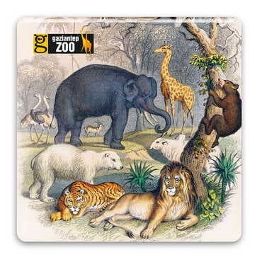 Zoo Themed Epoxy Dome Mini Square Souvenir Fridge Magnet 35x35 mm