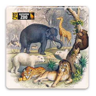 Toptan Hayvanat Bahçesi Temalı Myros Magnet 35x35 mm - Myros