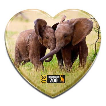 Zoo Themed Heart Shaped Mini Fridge Magnet 40x37 mm