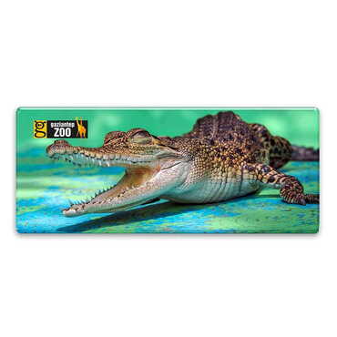 Toptan Hayvanat Bahçesi Temalı Myros Panaromik Magnet 120x50 mm - Myros