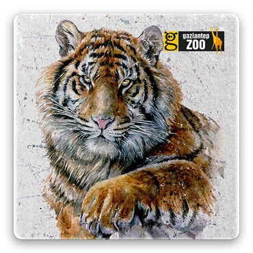 Toptan Hayvanat Bahçesi Temalı Myros Taş Magnet 50x50 mm
