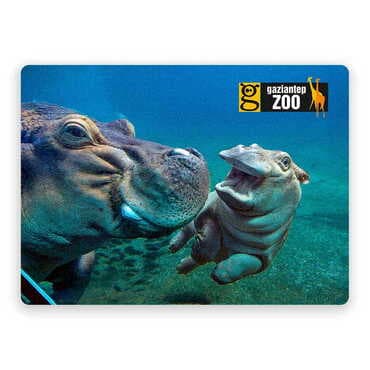 Zoo Themed Wooden Uv Printed Souvenir Fridge Magnet 93x68 mm