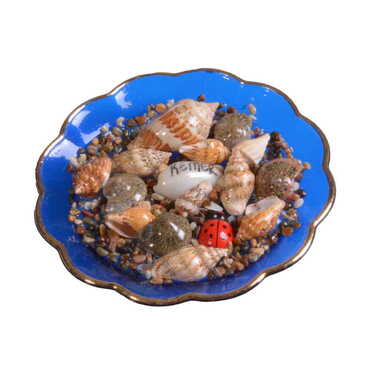 Kemer Themed Customised Sea Shell Plate Magnet 73 Mm - Thumbnail