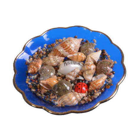 Kemer Themed Customised Sea Shell Plate Magnet 73 Mm